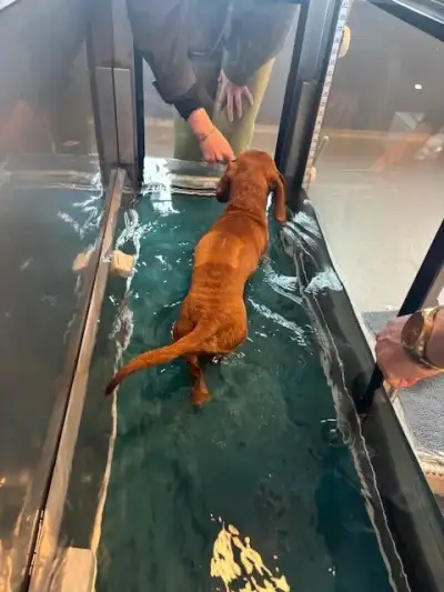 Hydrotherapie Hydrotherapie