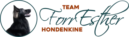 Team Forresther