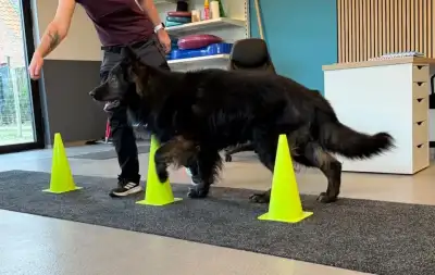 Oefentherapie Oefentherapie
